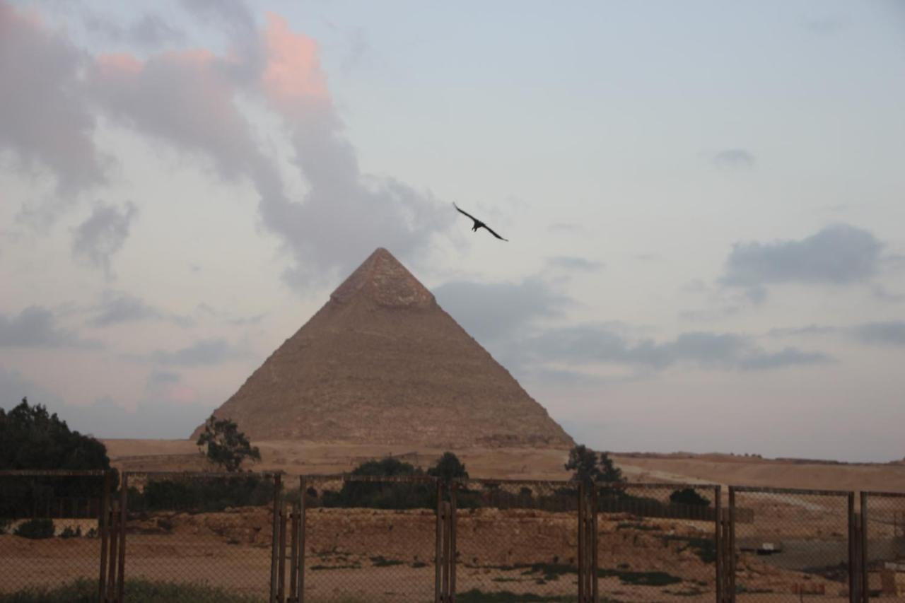 Farida Pyramids Boutique Hotel Kafret el-Gabal المظهر الخارجي الصورة